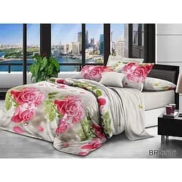Комплект постільної білизни TAG Tekstil 2-спальний 000210170 (BR6536)