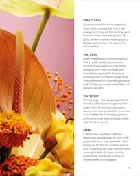 Flower Porn: Recipes for Modern Bouquets, Tablescapes and Displays - мініатюра 4