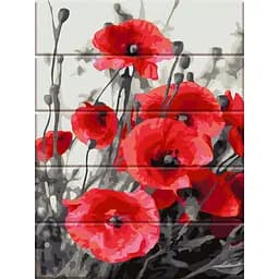 Картина по номерам на дереве Дивовижні маки ArtStory 30х40 см різнокольорова 000169572