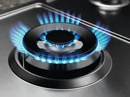 Варильна поверхня газова Electrolux 75 см чавун нержавіюча сталь - мініатюра 5