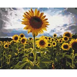 Картина по номерам Brushme Улочка в цветах 40x50 см