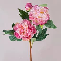 Півонія штучна потрійна гілка 75 см квітка для декору і букетів рожева
