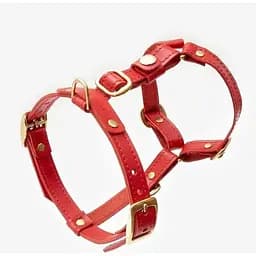 Шкіряна анатомічна шлея для собак "Classy" XL червона (обхват грудини 75-89 см)