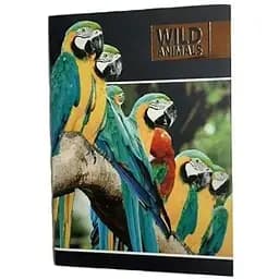 Блокнот Аркуш 48арк Папуги (2000989633129)(SC)