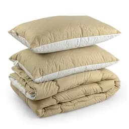 Набір Руно ковдра 200х220 см + 2 силіконові подушки 50х70 см бежевий К_925.52СЛ300_Бежевий