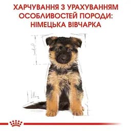 Сухий корм для цуценят породи Німецька вівчарка Royal Canin German Shepherd Puppy, 12 кг (25191201) - мініатюра 2