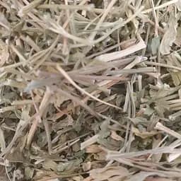 100 г петрушка сушеная зелень/трава - свежий урожай