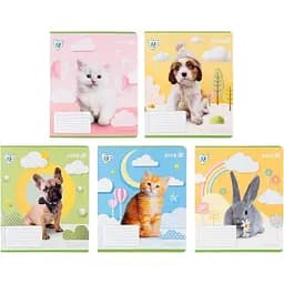 Набор тетрадей Kite Rachael Hale 18 листов в линию 20 шт. (R25-237)