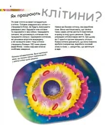 Герої та лиходії в нашому тілі - мініатюра 2