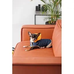Шлей-жилет Pet Fashion Poppy для собак розмір S - мініатюра 6