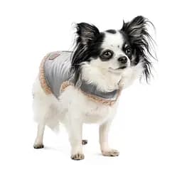 Шлея-жилет Pet Fashion Rob для собак розмір XS - мініатюра 3