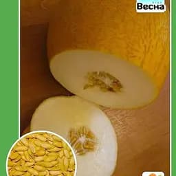 Дыня "Титовка" ТМ "Весна" 1.5г (10133)