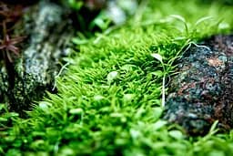 Залізо в таблетках Aquario Neo Tabs Plant Fe - мініатюра 3