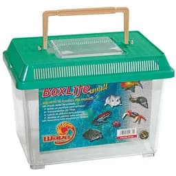 Пластиковая переноска для рептилий рыб и насекомых Croci Wave 23x15x16 см