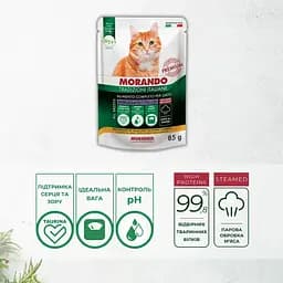 Вологий корм для стерилізованих котів Morando Tradizioni Sterilized беззерновий шматочки у соусі з індичкою та морквою 85 г - мініатюра 2