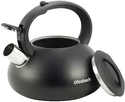 Чайник Happy Kettle з нержавіючої сталі зі свистком матовий Ofenbach 19.5 см kuh0006803 - мініатюра 2
