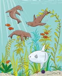 First Sticker Book: Under the Sea - мініатюра 5