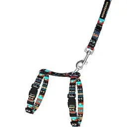 Шлея для котів та собак дрібних порід BronzeDog Urban Орнамент ацтеки з нашивкою та повідцем XXS 15-23 см