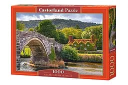 Пазлы Castorland Поселок в Уэльсе, 1000 элементов, 68x47 см, C-104673