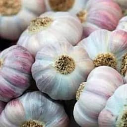 Часник посадковий озимий (головка) "Любаша" Україна 0,2кг (25790)