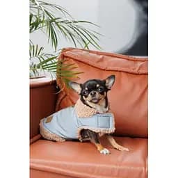 Шлея-жилет Pet Fashion Rob для собак розмір XS - мініатюра 5