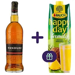 nabir-rom-tanduay-asian-rum-gold-40-07-l-nektar-happy-day-family-ananas-1-l