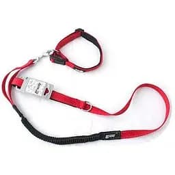 Ошейник с поводком для собак AnimAll M, красный