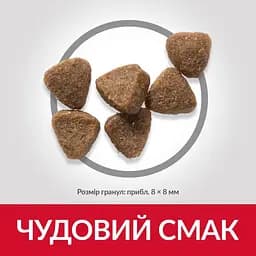 Сухий корм Hill's SP Kitten для котят та кішок у період вагітності та лактації з куркою 0.3 кг - мініатюра 4