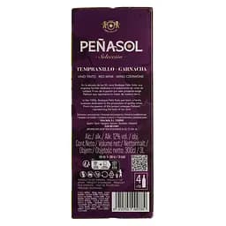 Вино Penasol Tempranillo-Garnacha, 12.5% 3 л (728142) - мініатюра 3