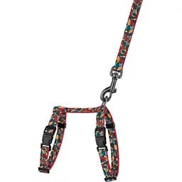 Шлея для котів та собак дрібних порід BronzeDog Urban Art Вітраж з повідцем XS 18-27 см