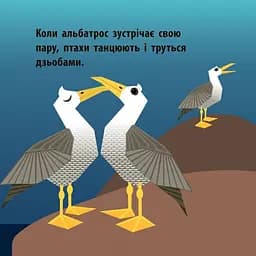 Книга Ранок Повітряний екіпаж - Мадлєн Роджерс (С885007У) - мініатюра 6