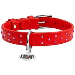 Нашийник для собак Waudog Glamour, шкіряний, зі стразами, з QR паспортом, XL, 38-49х2 см, червоний