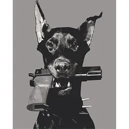 Картина за номерами ArtCraft Агент 007 40x50 см (11653-AC)