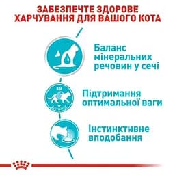 Вологий корм для дорослих котів, що сприяє підтримці здоров'я сечовидільної системи Royal Canin Urinary Care, шматочки в соусі, 85 г - мініатюра 2