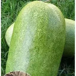 Насіння Весна на вагу Кавун Чарльстон Грей ціна за 5 г (22378)