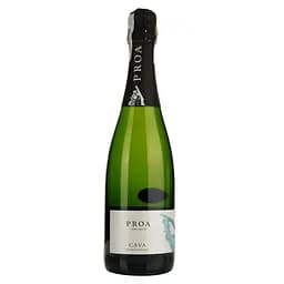 Вино игристое Vallformosa Proa Cava Semi Seco белое полусухое 0.75 л