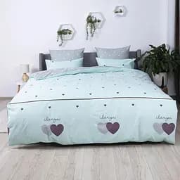 Комплект постельного белья ТЕП Mint&Grey Hearts двуспальный (2-01691_24942)