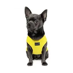Борцовка Pet Fashion Puppy для собак, розмір XS2, жовта - мініатюра 3