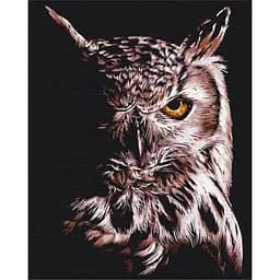 Картина по номерам "Филин" Brushme BS51829, 40х50 см