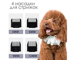 MiaoQuanji, Машинка для стрижки тварин, акумуляторна, золотиста, з насадками - мініатюра 4