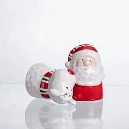 Набір для спецій з порцеляни Yiwu New Year 2 баночки для солі та перцю по 100 мл CR-1-36  - мініатюра 3