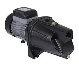 Насос самовсмоктувальний відцентровий Thermo Alliance D-JNWm-15M