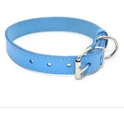 Нашийник для собак Zoo-hunt Весна шкіряний блакитний 3,0/41-51 см