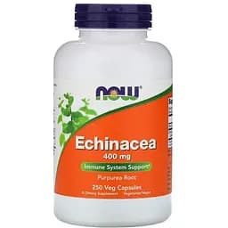 Натуральна добавка Now Echinacea 400 mg 250 вегакапсул