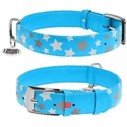 Нашийник для собак Waudog Glamour шкіряний з QR паспортом, візерунок Зірочка, світиться/світловідбиваючий, L, Ш 35 мм, Дов 46-60 см (4823089301419)