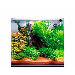 Акваріум з ультрабілого скла Dupla Scaping Cube 80 45x45x40 см (80892) - мініатюра 6