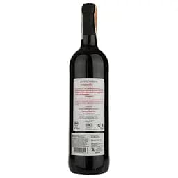Вино Pampaneo Tempranillo Ecologico, червоне, сухе, 0,75 л - мініатюра 2
