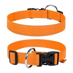 Нашийник Dog Extreme з нейлону регульований (ширина 25мм довжина 31-49 см) помаранчевий