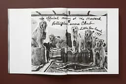 Bruce Weber. The Golden Retriever Photographic Society - мініатюра 2