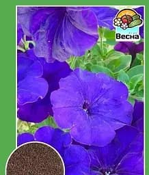 Насіння Весна Петунія великоквіткова синя 0.3 г (11490)